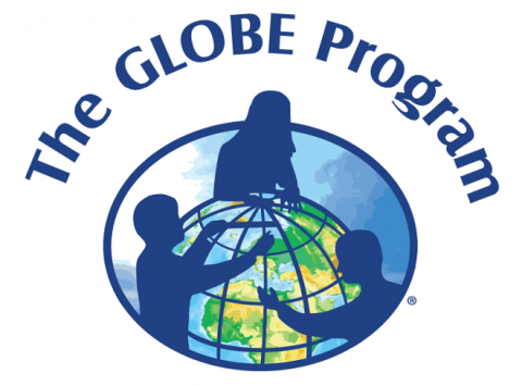 The global program